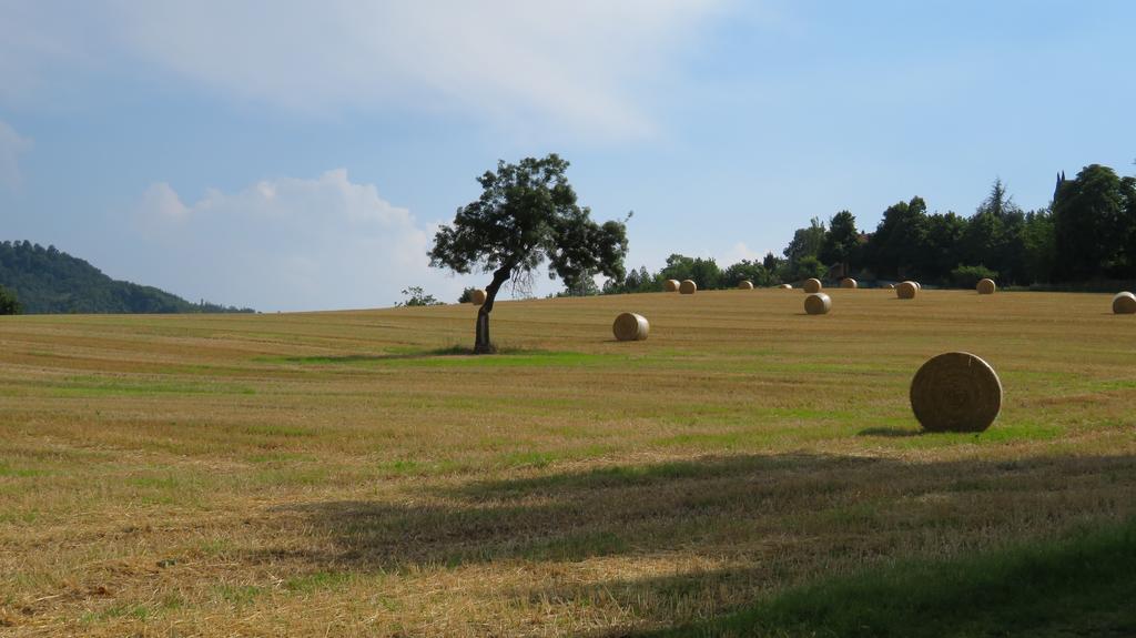 Locanda Gli Ulivi Monteveglio Exterior photo